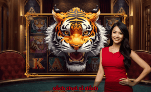 Cách chơi xì dách